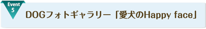 title5