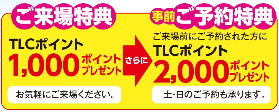 202006haibara-1