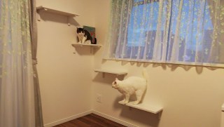 猫好きご夫婦のマンションリフォーム［まるごとリフォーム］