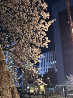 イベントのお知らせ「暮らし快適アップフェア」⤴